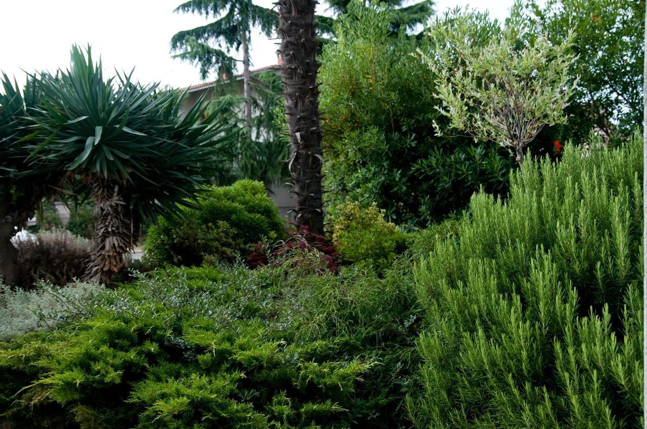 Dr. Igda Apartments Poreč Dış mekan fotoğraf